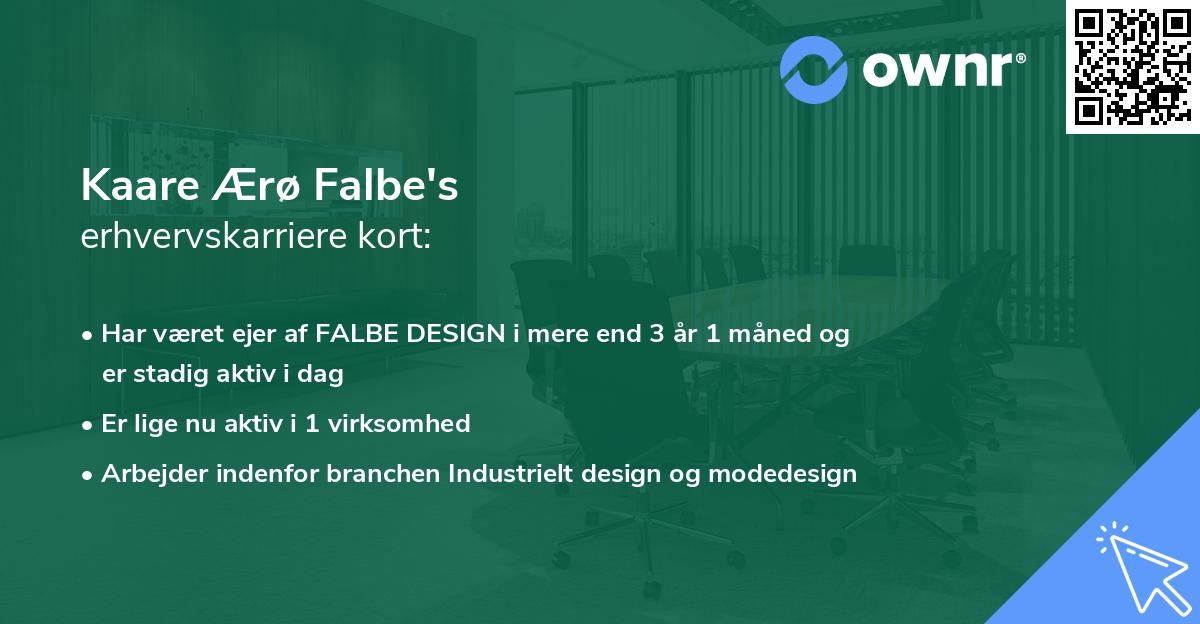 Kaare Ærø Falbe's erhvervskarriere kort