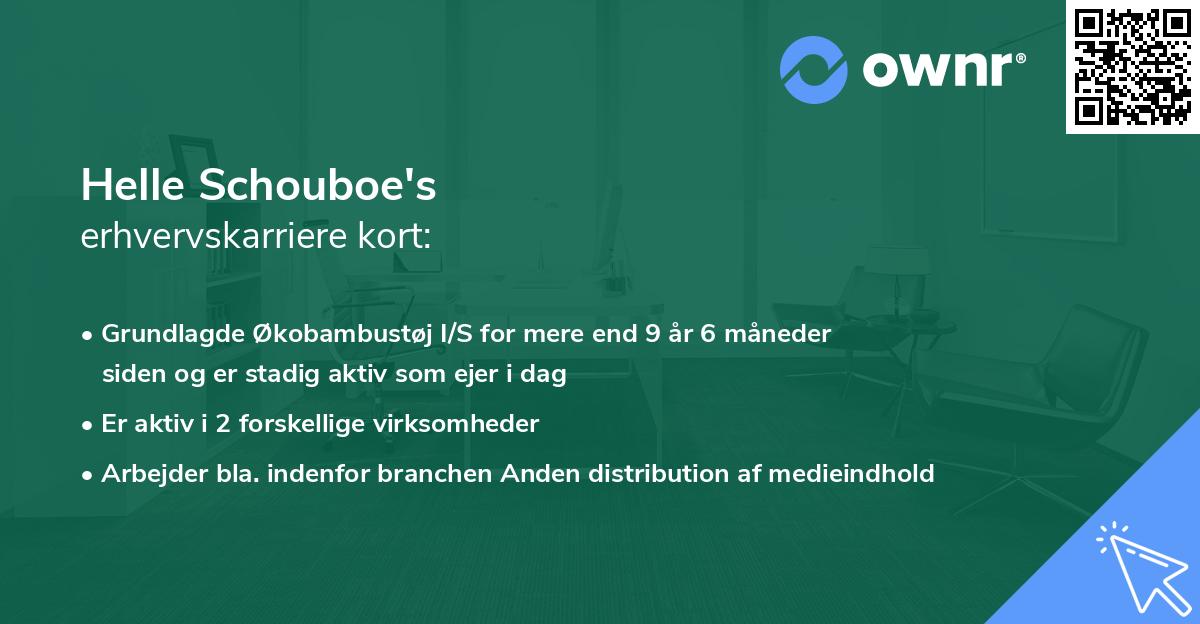 Helle Schouboe's erhvervskarriere kort