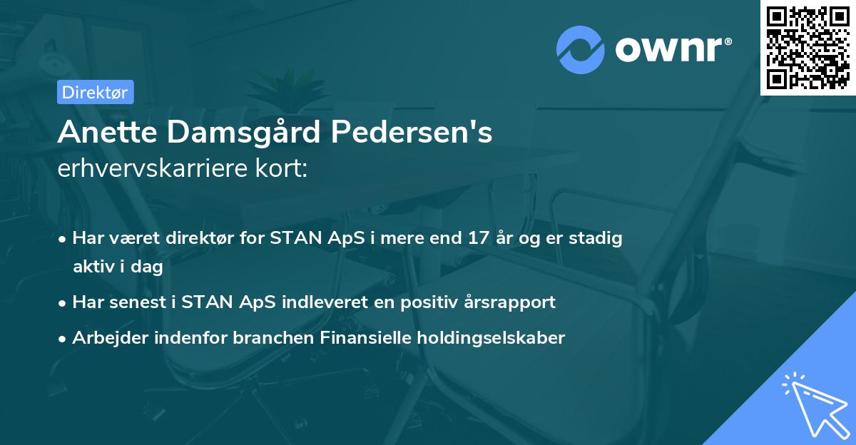 Anette Damsgård Pedersen's erhvervskarriere kort