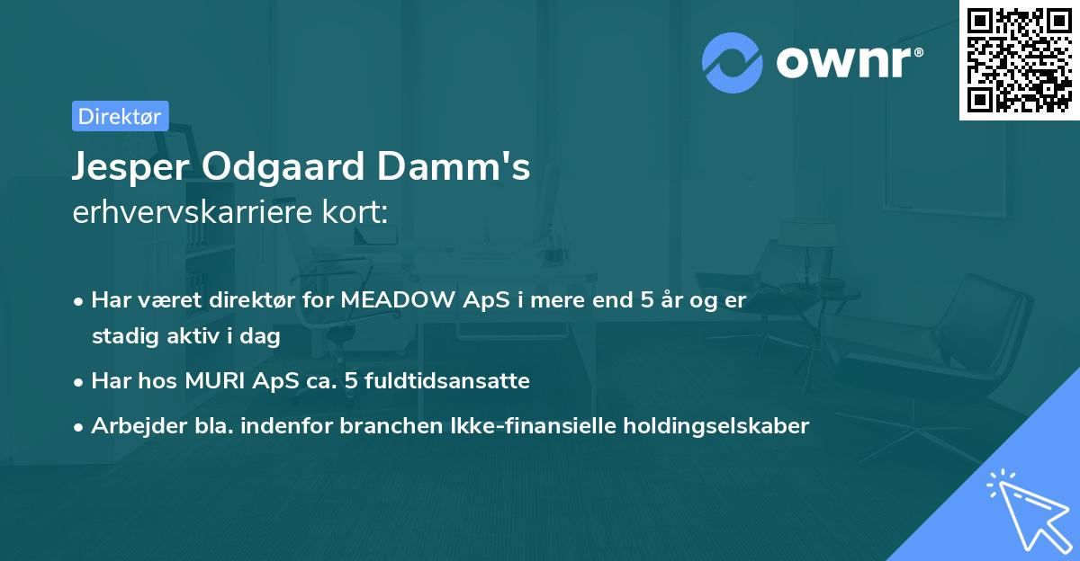 Jesper Odgaard Damm's erhvervskarriere kort