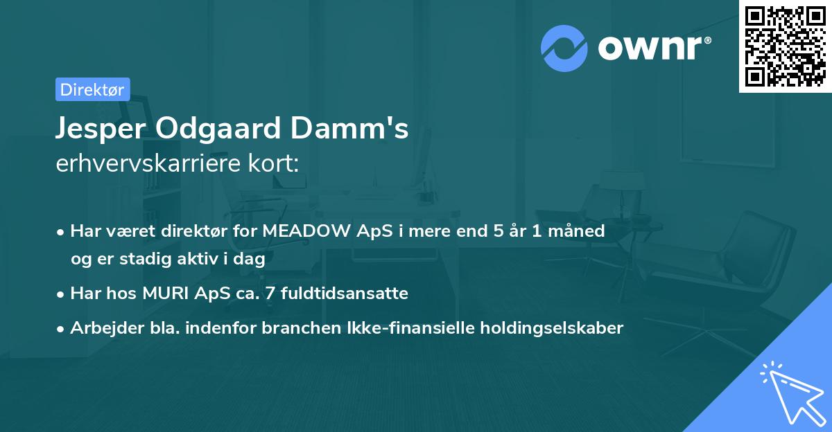 Jesper Odgaard Damm's erhvervskarriere kort