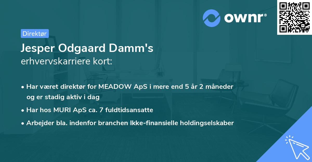 Jesper Odgaard Damm's erhvervskarriere kort