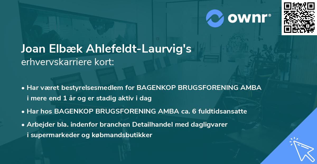 Joan Elbæk Ahlefeldt-Laurvig's erhvervskarriere kort