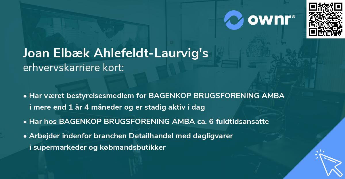 Joan Elbæk Ahlefeldt-Laurvig's erhvervskarriere kort