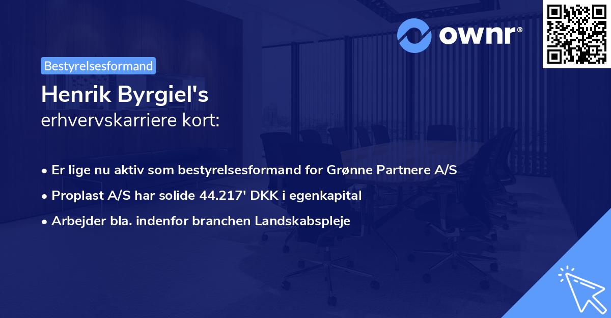 Henrik Byrgiel's erhvervskarriere kort