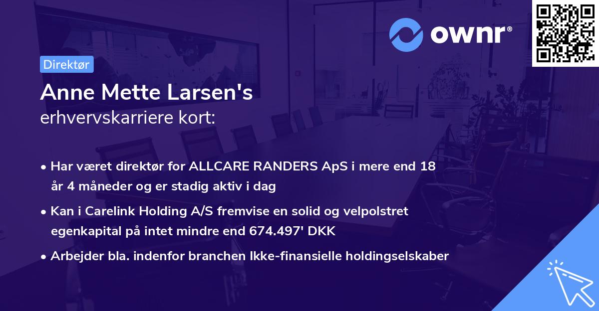 Anne Mette Larsen's erhvervskarriere kort
