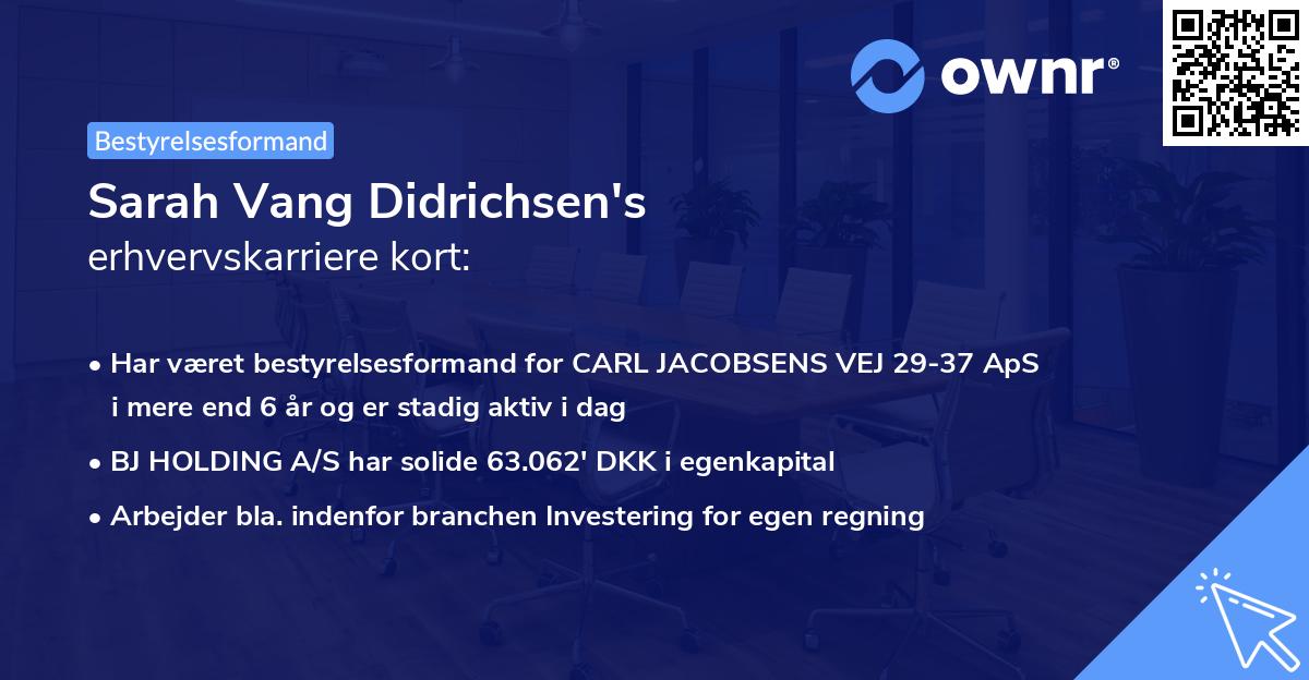 Sarah Vang Didrichsen's erhvervskarriere kort
