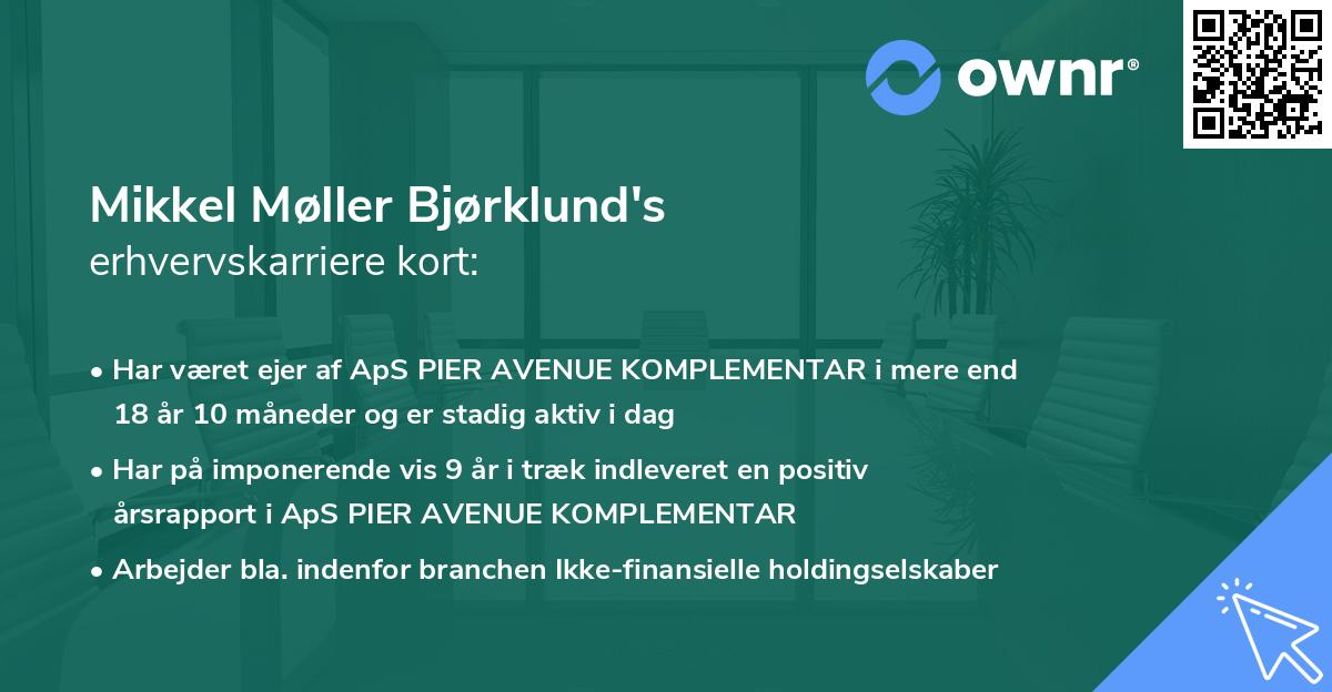 Mikkel Møller Bjørklund's erhvervskarriere kort