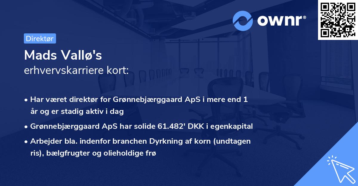 Mads Vallø's erhvervskarriere kort
