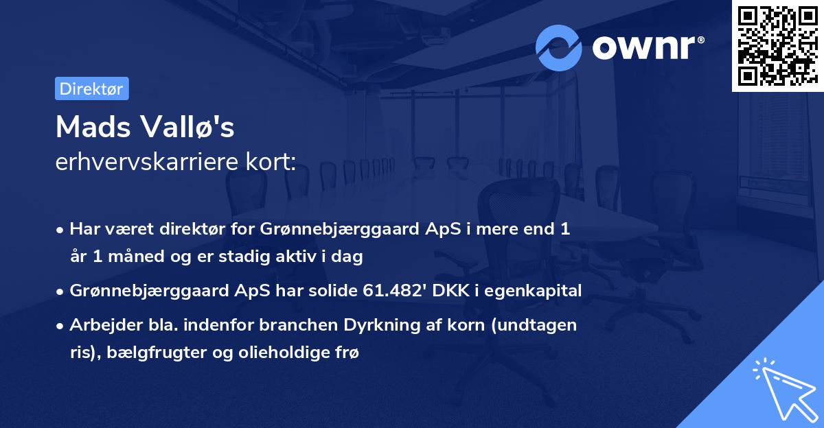Mads Vallø's erhvervskarriere kort