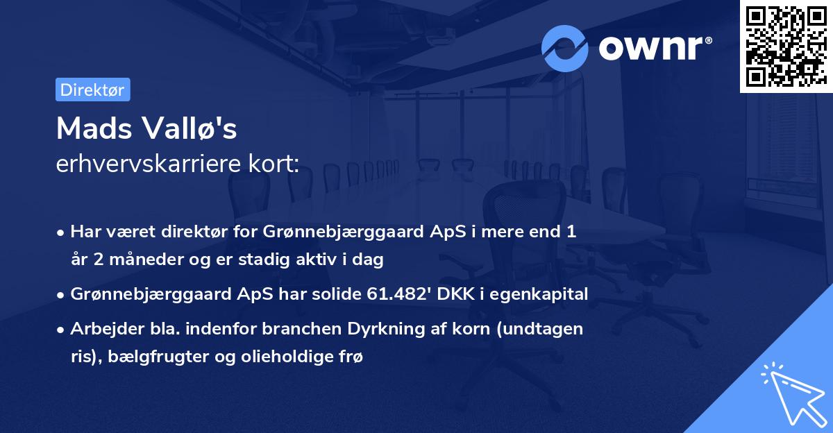 Mads Vallø's erhvervskarriere kort