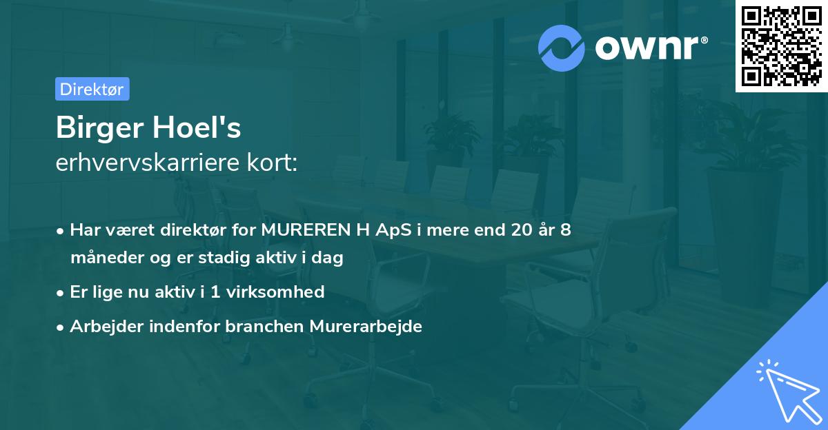 Birger Hoel's erhvervskarriere kort