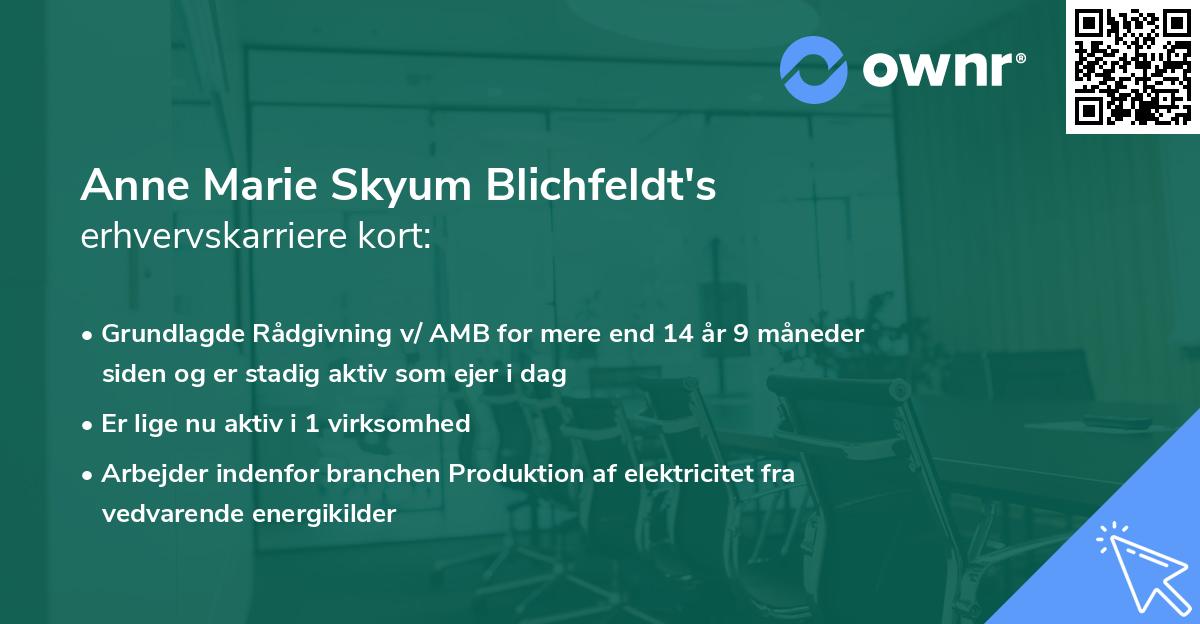 Anne Marie Skyum Blichfeldt's erhvervskarriere kort