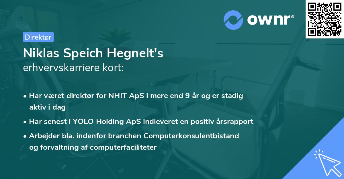 Niklas Speich Hegnelt's erhvervskarriere kort