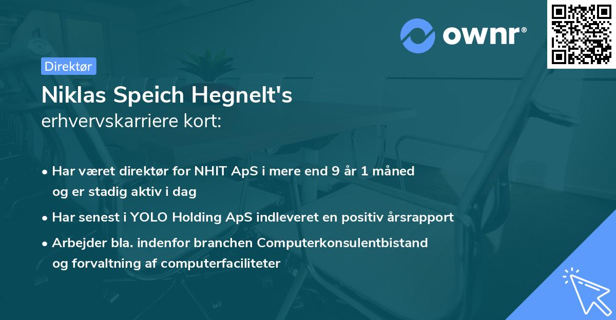 Niklas Speich Hegnelt's erhvervskarriere kort