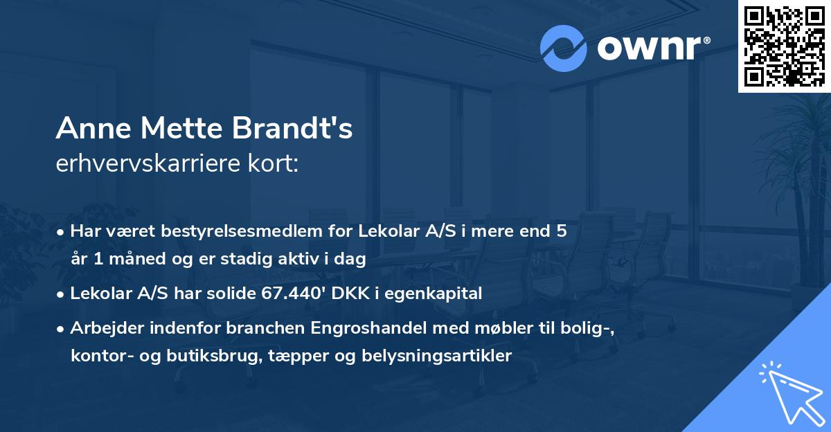 Anne Mette Brandt's erhvervskarriere kort