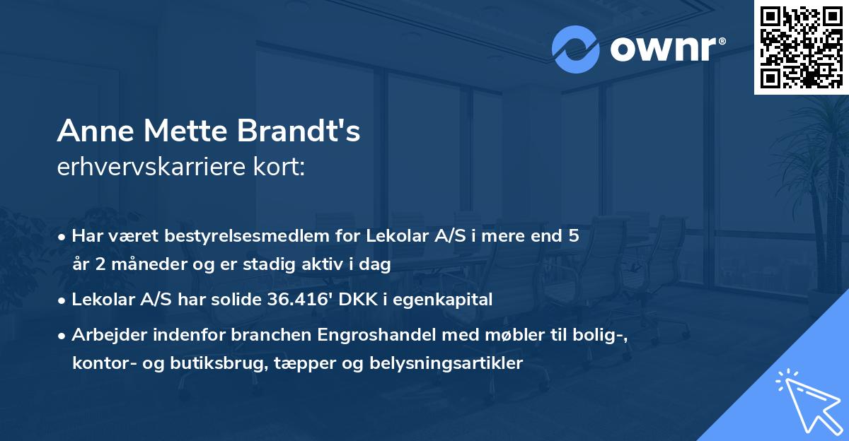 Anne Mette Brandt's erhvervskarriere kort