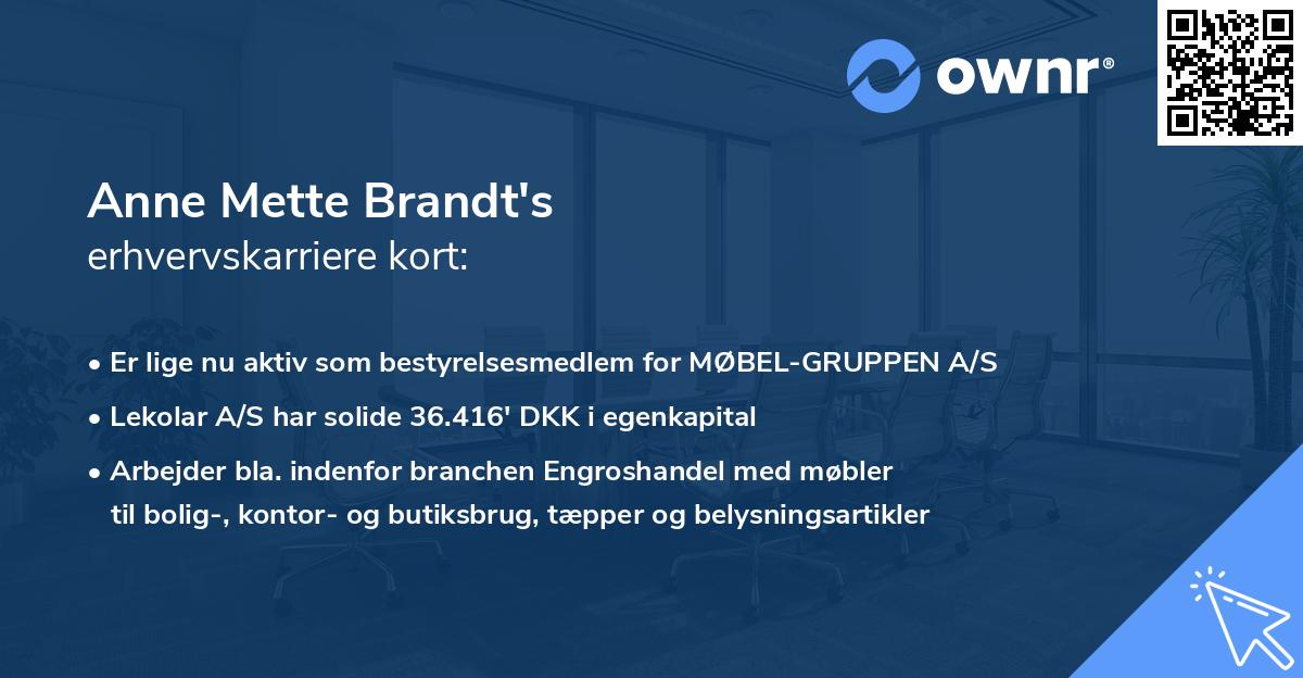 Anne Mette Brandt's erhvervskarriere kort
