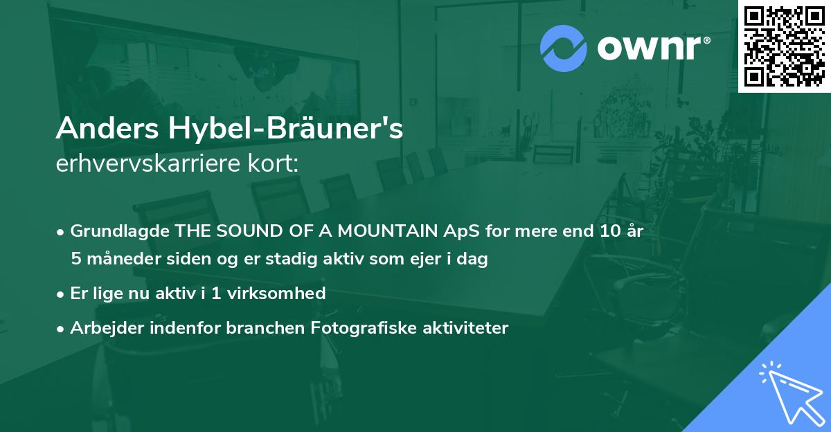 Anders Hybel-Bräuner's erhvervskarriere kort