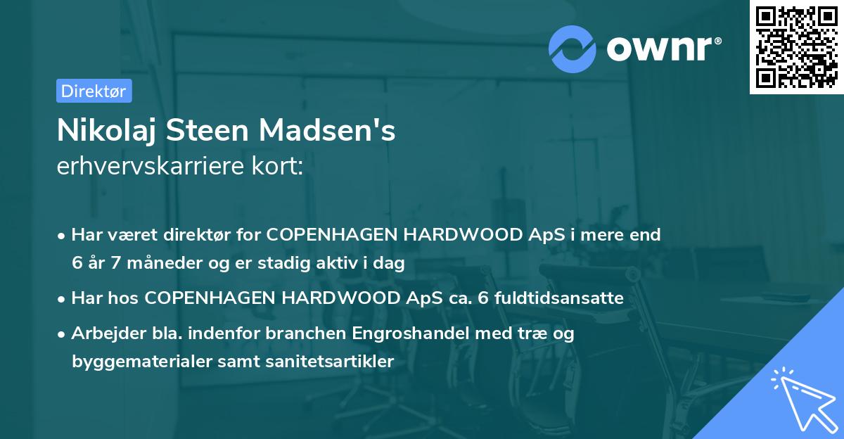 Nikolaj Steen Madsen's erhvervskarriere kort