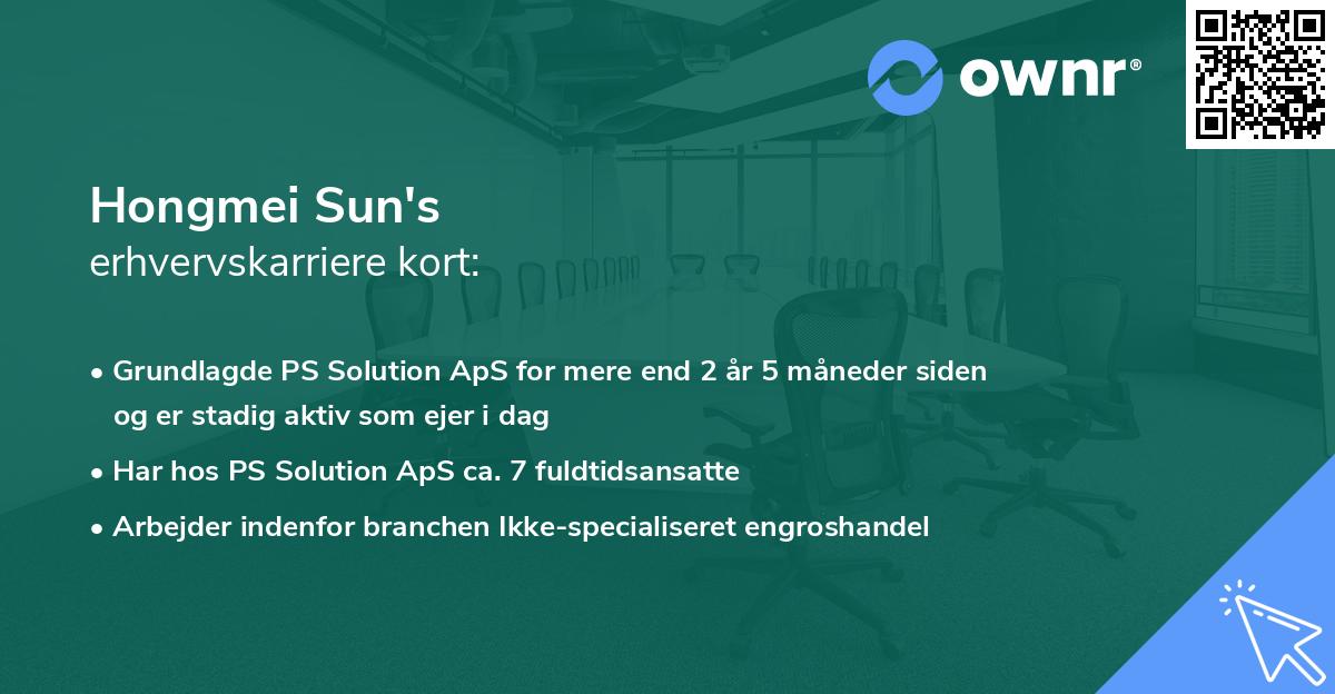 Hongmei Sun's erhvervskarriere kort