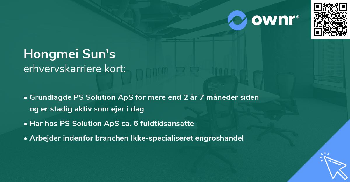 Hongmei Sun's erhvervskarriere kort