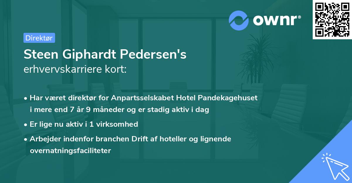 Steen Giphardt Pedersen's erhvervskarriere kort