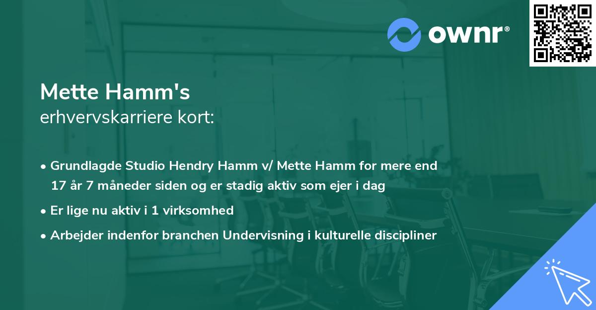 Mette Hamm's erhvervskarriere kort