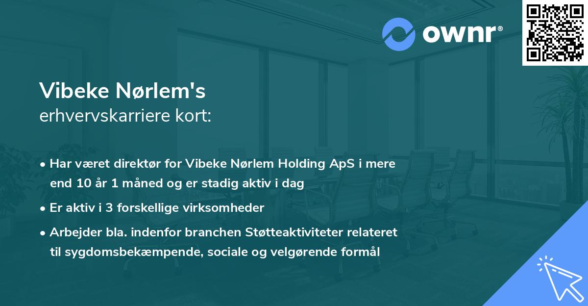 Vibeke Nørlem's erhvervskarriere kort