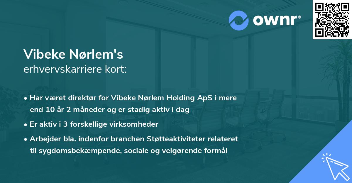 Vibeke Nørlem's erhvervskarriere kort
