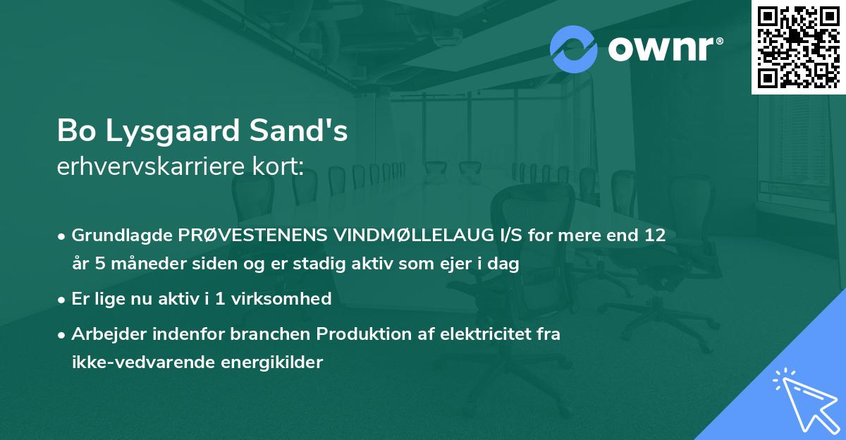 Bo Lysgaard Sand's erhvervskarriere kort