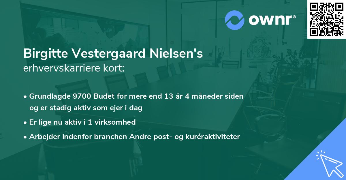 Birgitte Vestergaard Nielsen's erhvervskarriere kort