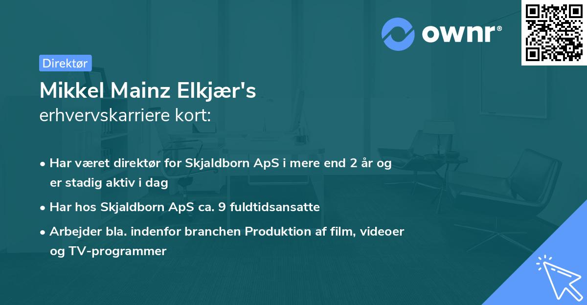 Mikkel Mainz Elkjær's erhvervskarriere kort
