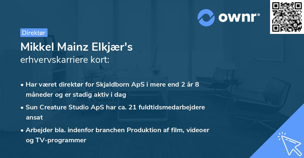 Mikkel Mainz Elkjær's erhvervskarriere kort
