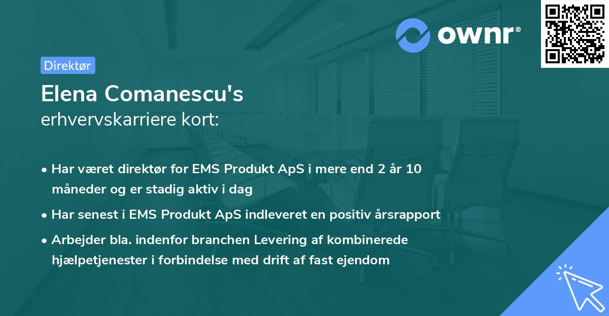 Elena Comanescu's erhvervskarriere kort