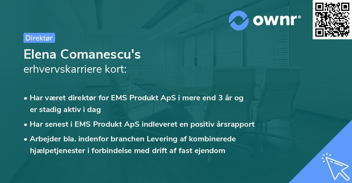 Elena Comanescu's erhvervskarriere kort