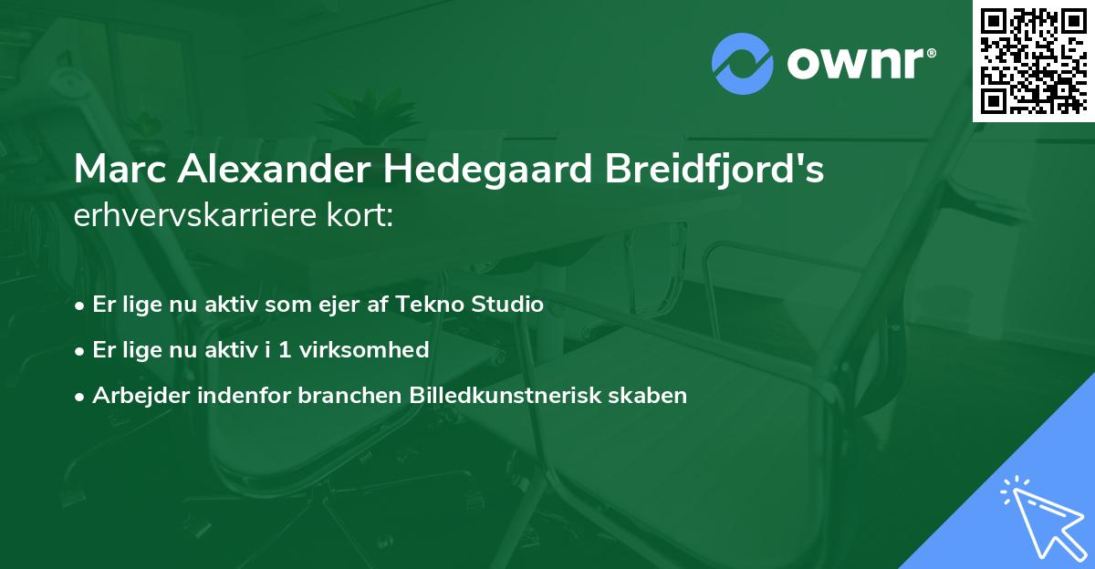 Marc Alexander Hedegaard Breidfjord's erhvervskarriere kort