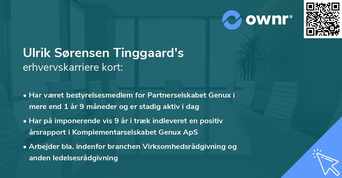 Ulrik Sørensen Tinggaard's erhvervskarriere kort