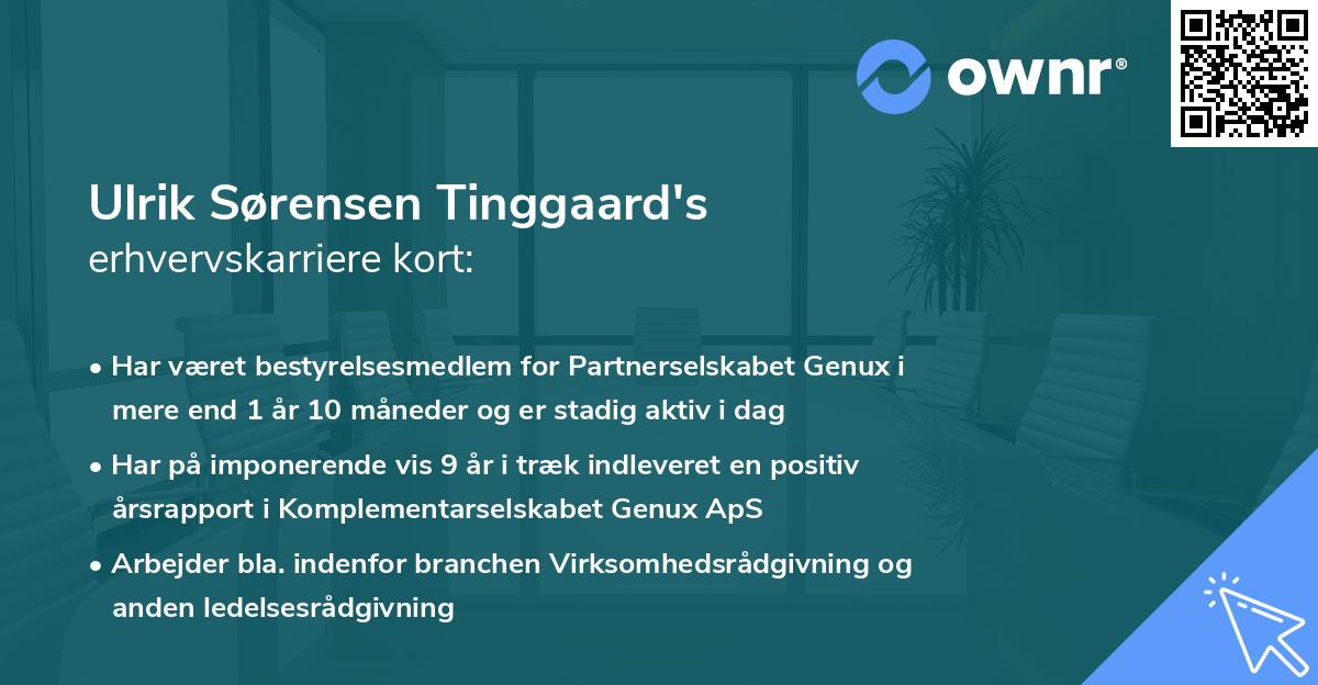 Ulrik Sørensen Tinggaard's erhvervskarriere kort