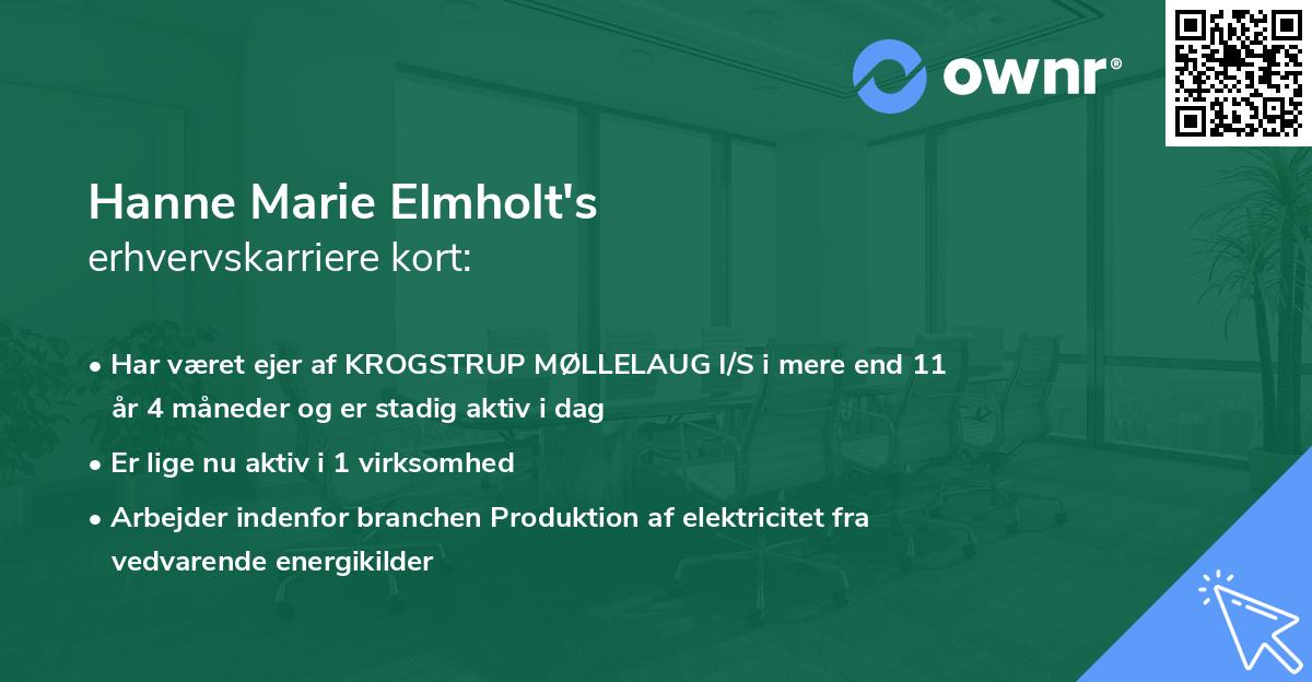 Hanne Marie Elmholt's erhvervskarriere kort