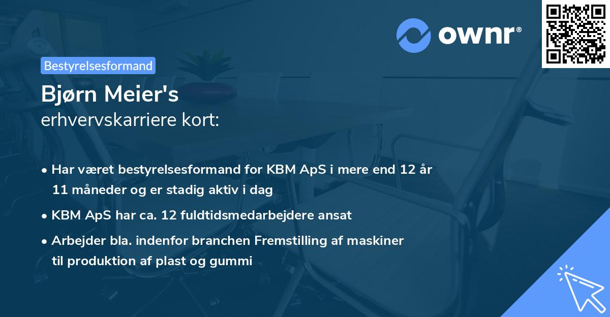 Bjørn Meier's erhvervskarriere kort
