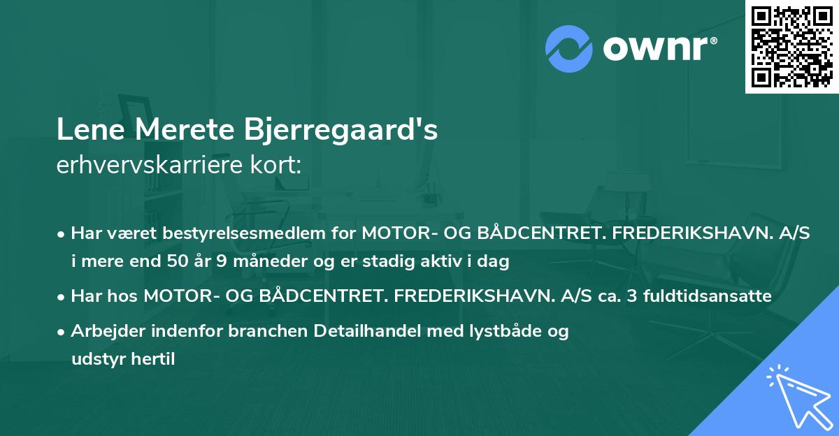 Lene Merete Bjerregaard's erhvervskarriere kort