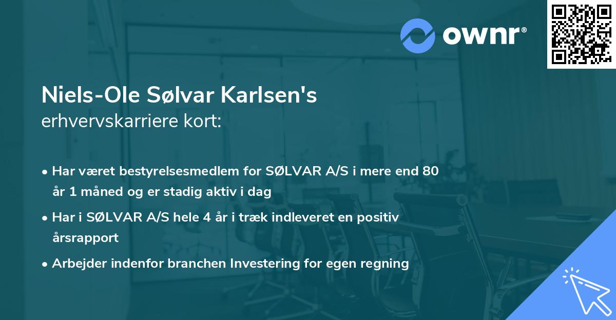 Niels-Ole Sølvar Karlsen's erhvervskarriere kort