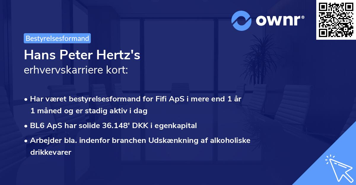 Hans Peter Hertz's erhvervskarriere kort