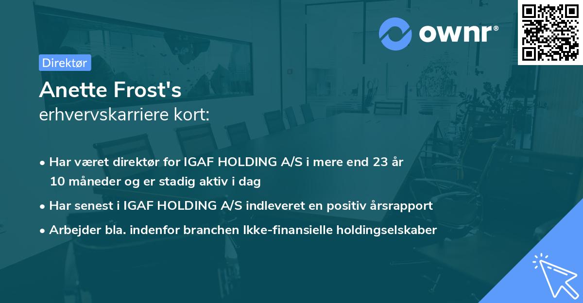 Anette Frost's erhvervskarriere kort