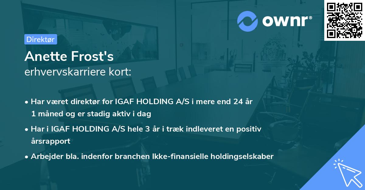 Anette Frost's erhvervskarriere kort