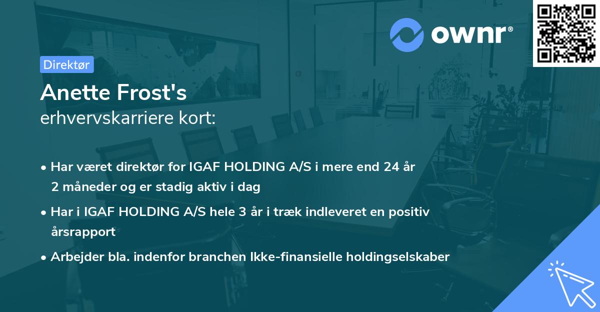 Anette Frost's erhvervskarriere kort
