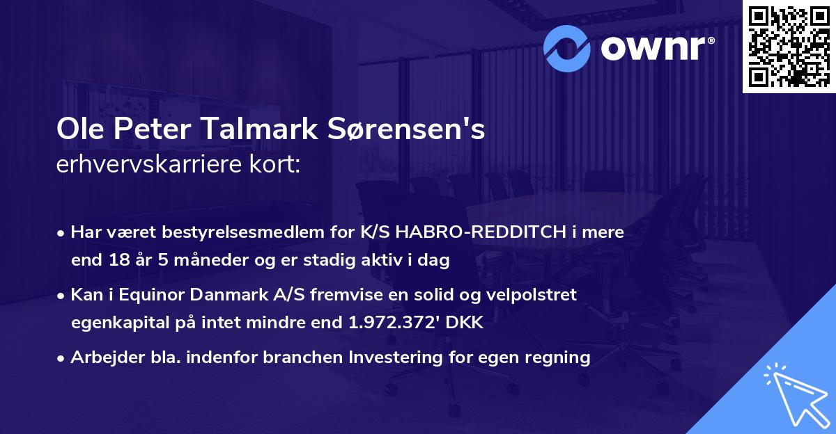 Ole Peter Talmark Sørensen's erhvervskarriere kort