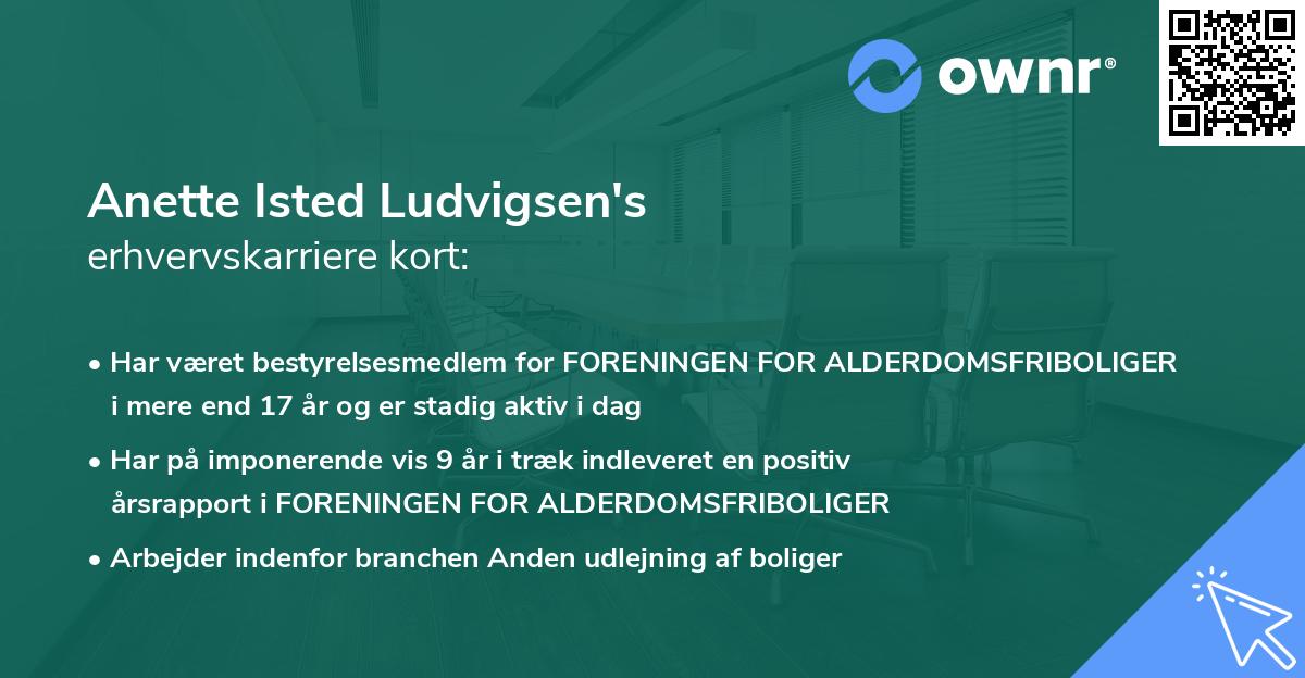Anette Isted Ludvigsen's erhvervskarriere kort