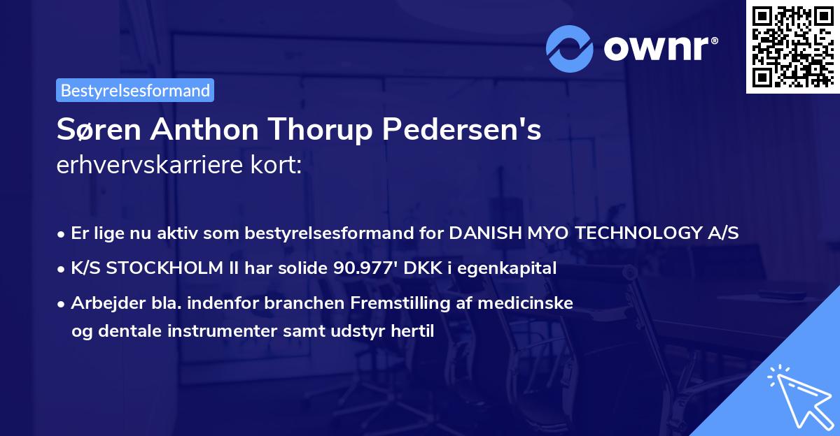 Søren Anthon Thorup Pedersen's erhvervskarriere kort